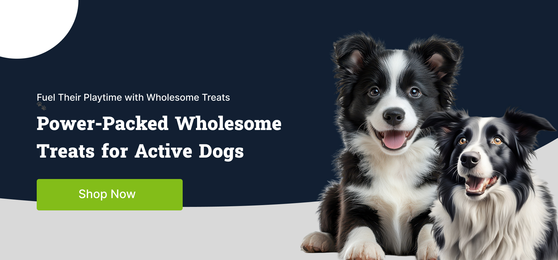 dogbanner.jpg